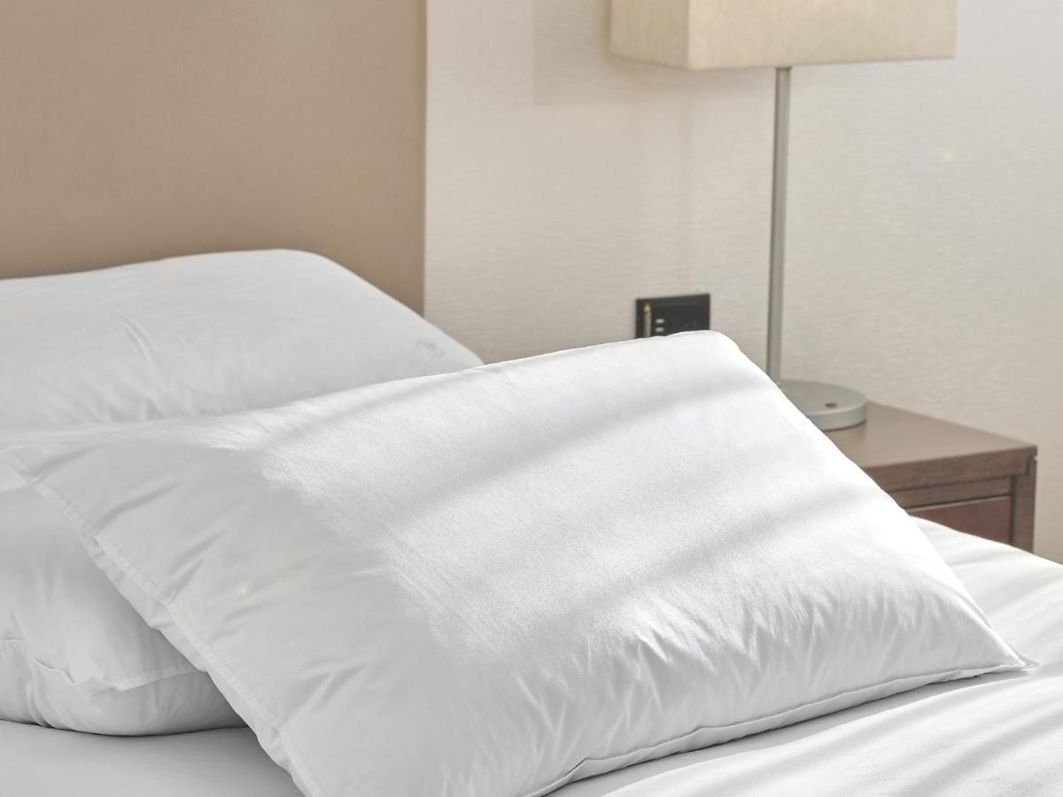 Windsor Hotel Taichung Exterior foto A pillow