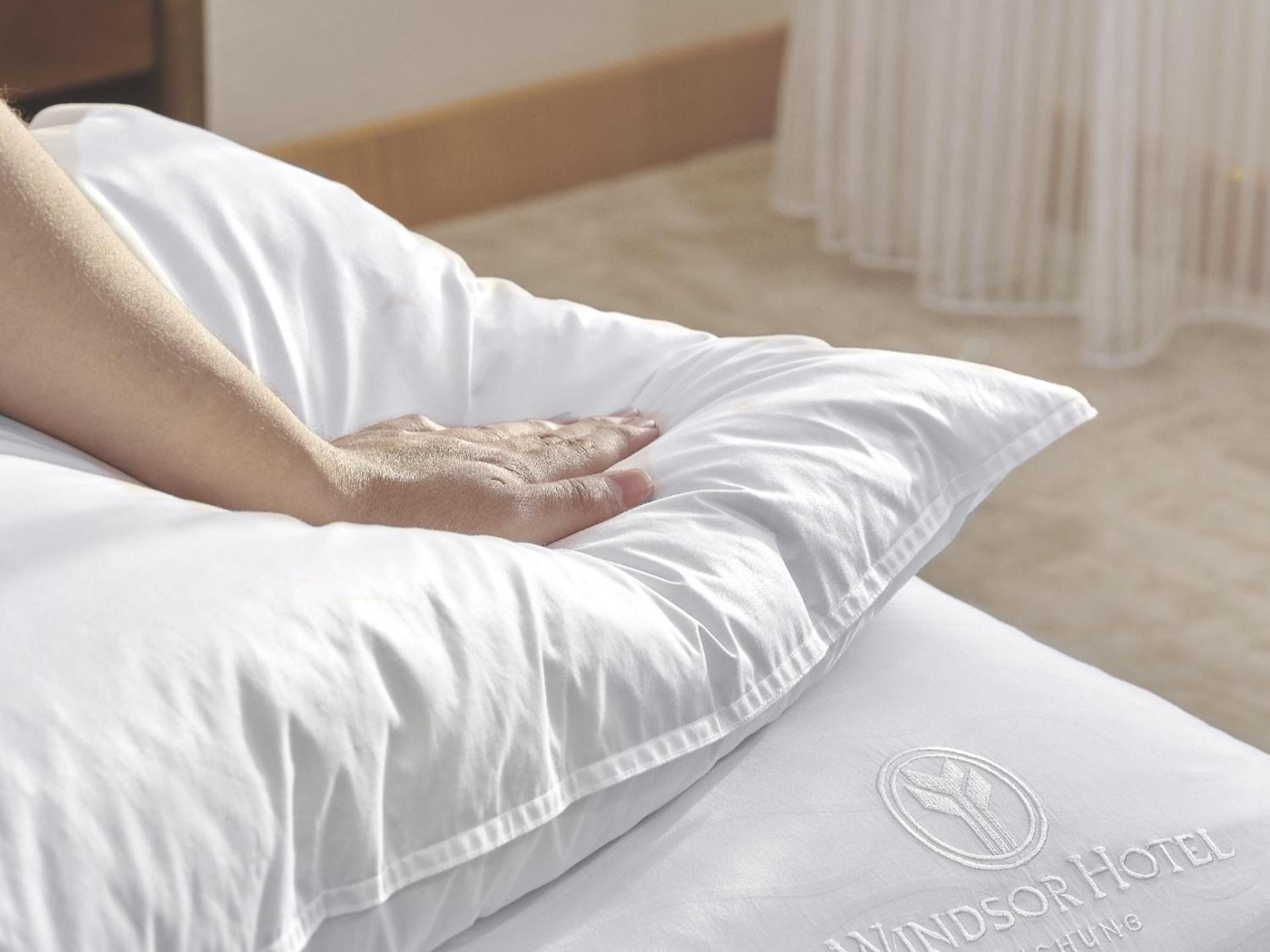 Windsor Hotel Taichung Exterior foto A pillow